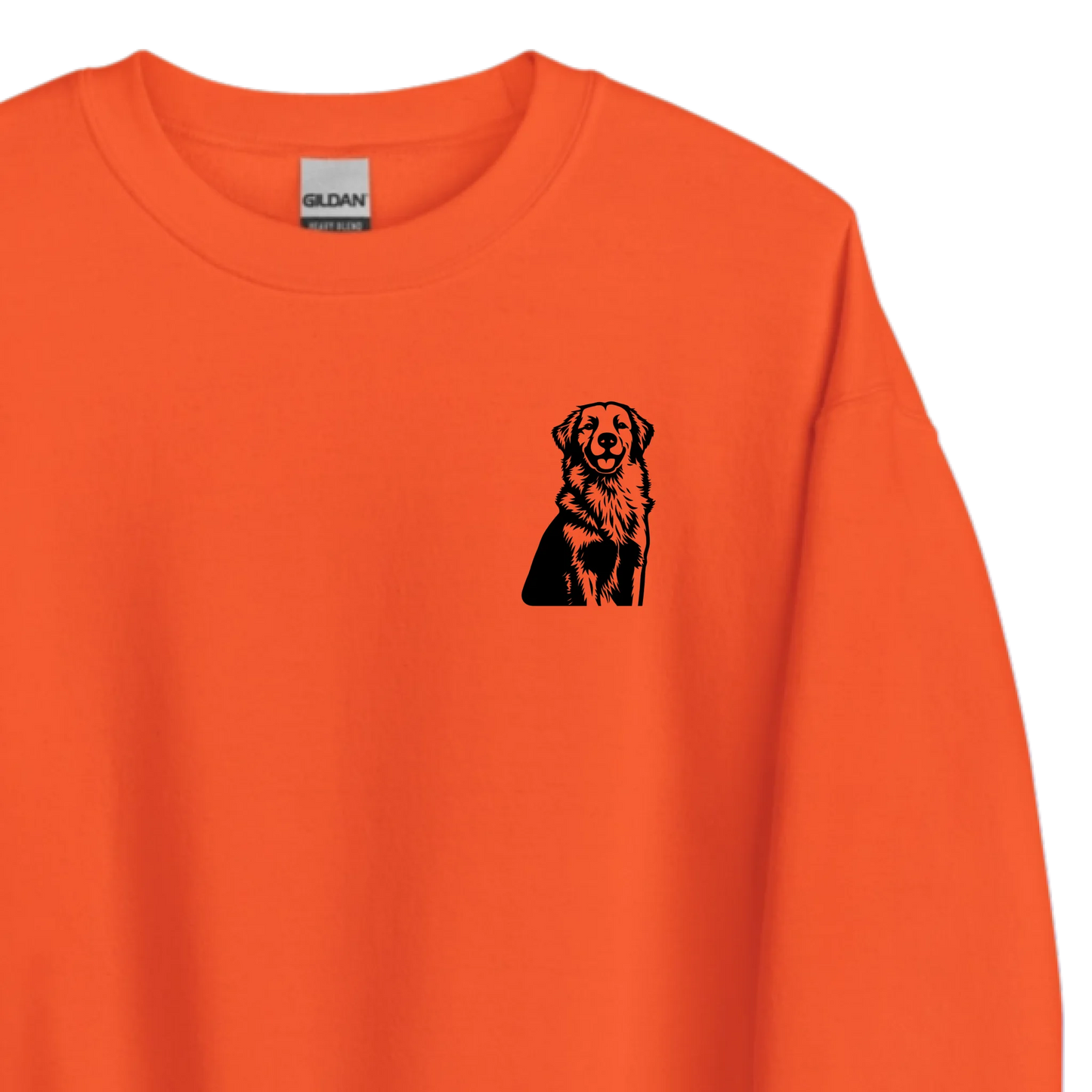 Vignette Orange 2